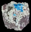 Vibrant Blue Cavansite Cluster on Stilbite - India #67790-2